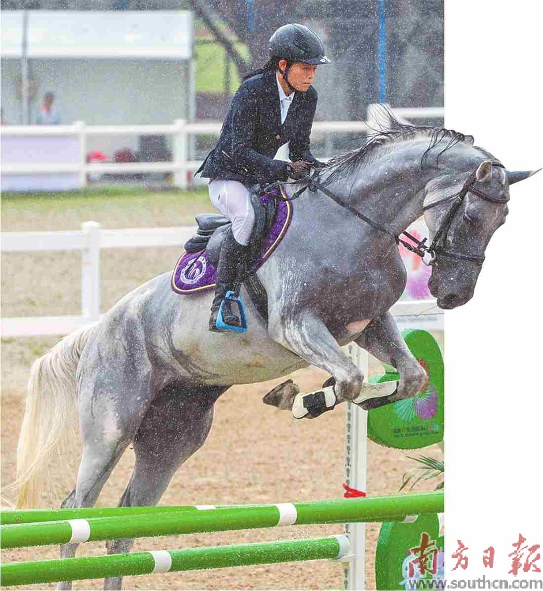 马术和激光 马术和激光