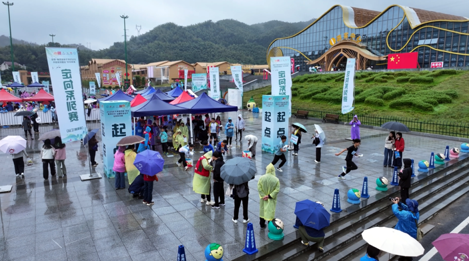 rich, 竹林步道开 rich, 竹林步道开